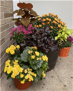 flowers at chs